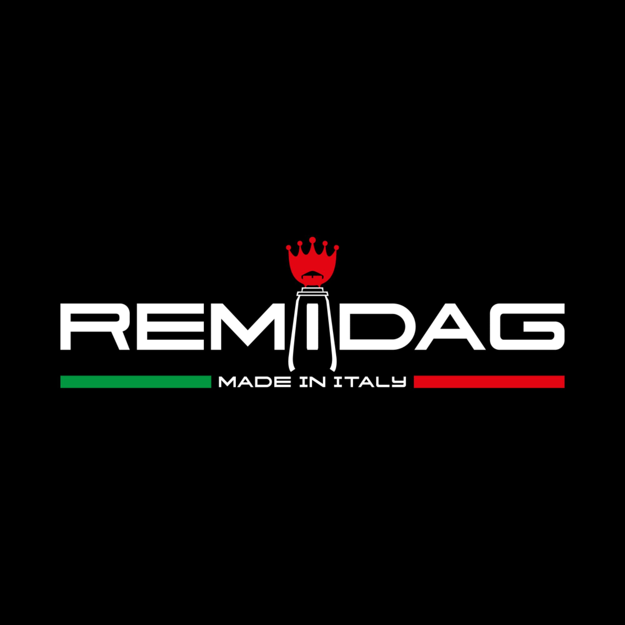 REMIDAG logo